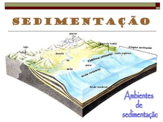 Sedimentação 
 