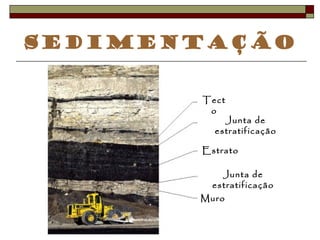 Sedimentação 
Tect 
o 
Junta de 
estratificação 
Estrato 
Junta de 
estratificação 
Muro 
 