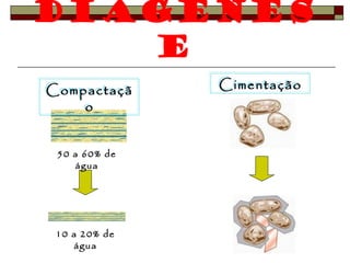 Diagénes 
e 
Compactaçã 
o 
50 a 60% de 
água 
10 a 20% de 
água 
CCiimmeennttaaççããoo 
 