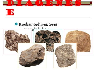 Diagénes 
e 
Rochas sedimentares 
consolidadas : 
 
