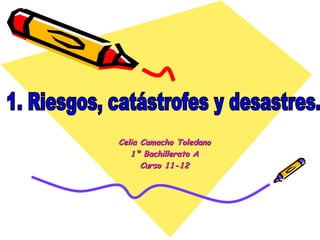 Celia Camacho Toledano
   1º Bachillerato A
      Curso 11-12
 