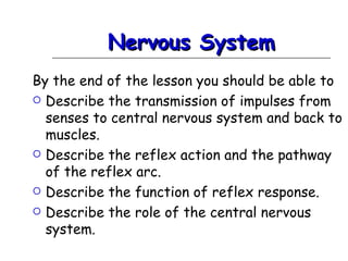 Nervous System
By the end of the lesson you should be able to
 Describe the transmission of impulses from
  senses to central nervous system and back to
  muscles.
 Describe the reflex action and the pathway
  of the reflex arc.
 Describe the function of reflex response.

 Describe the role of the central nervous
  system.
 