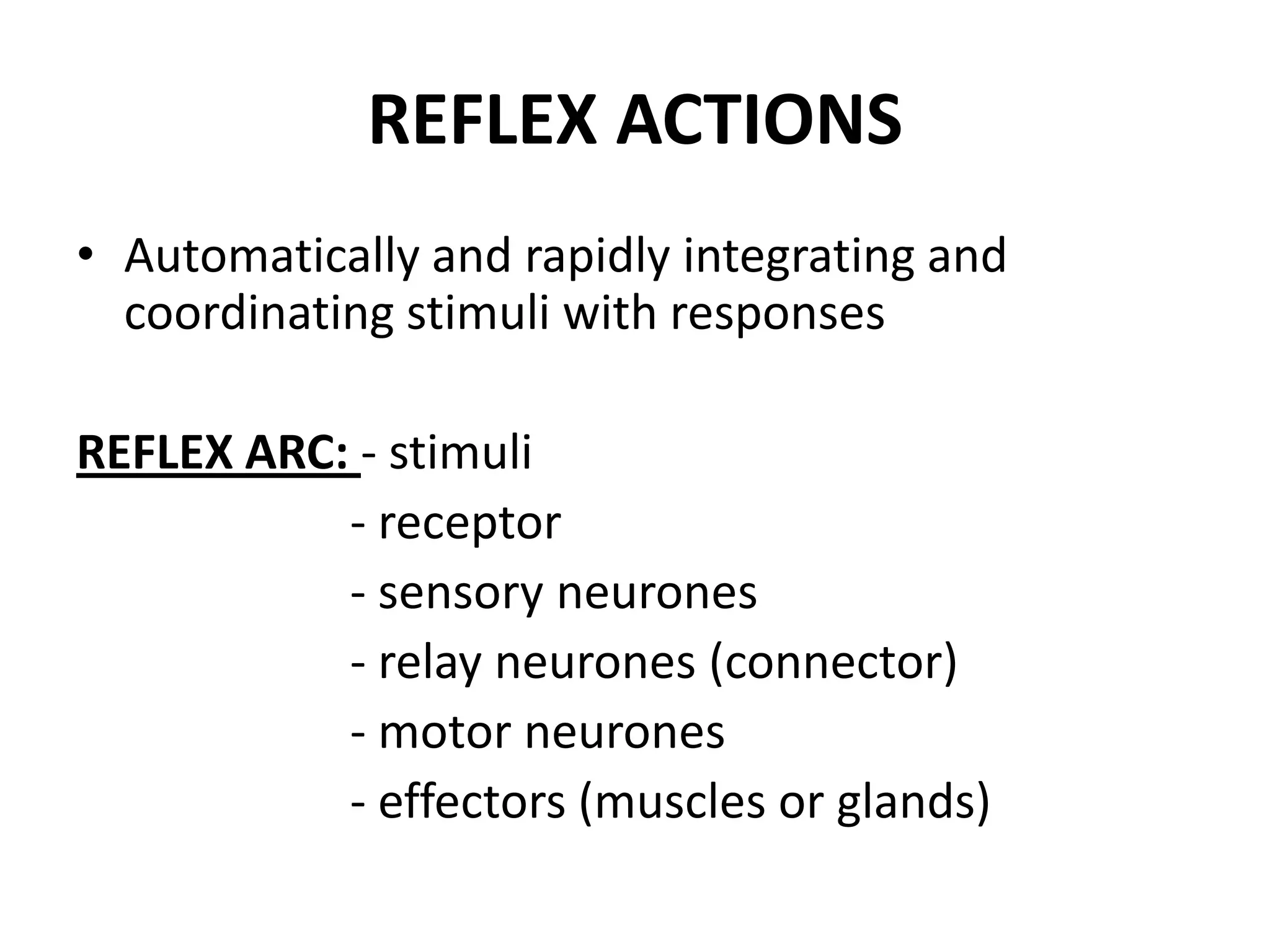 REFLEX ACTIONS
• Automatically and rapidly integrating and
coordinating stimuli with responses
REFLEX ARC: - stimuli
- receptor
- sensory neurones
- relay neurones (connector)
- motor neurones
- effectors (muscles or glands)