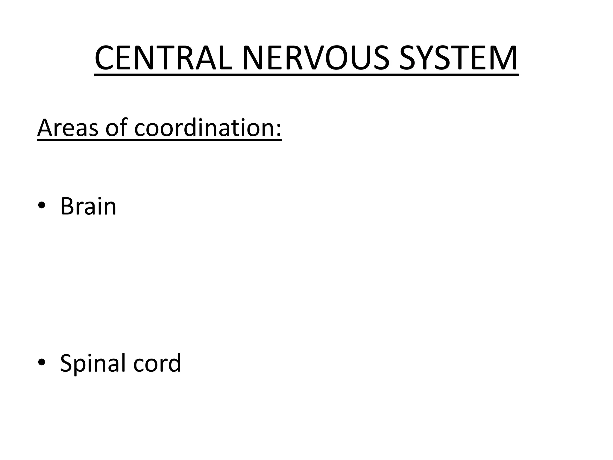 CENTRAL NERVOUS SYSTEM
Areas of coordination:
• Brain
• Spinal cord