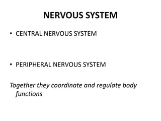 NERVOUS SYSTEM
• CENTRAL NERVOUS SYSTEM



• PERIPHERAL NERVOUS SYSTEM

Together they coordinate and regulate body
  functions
 