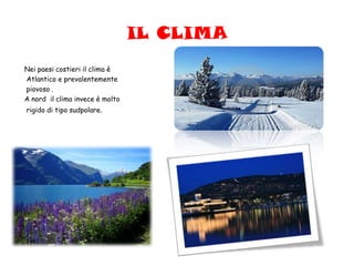 IL CLIMA
Nei paesi costieri il clima è
Atlantico e prevalentemente
piovoso .
A nord il clima invece è molto
rigido di tipo sudpolare.
 