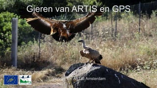 Gieren van ARTIS en GPS
Job van Tol, ARTIS Amsterdam
 