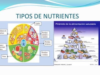 TIPOS DE NUTRIENTES

 