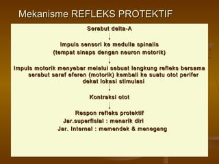 Mekanisme REFLEKS PROTEKTIFMekanisme REFLEKS PROTEKTIF
Serabut delta-ASerabut delta-A
Impuls sensori ke medulla spinalisImpuls sensori ke medulla spinalis
(tempat sinaps dengan neuron motorik)(tempat sinaps dengan neuron motorik)
Impuls motorik menyebar melalui sebuat lengkung refleks bersamaImpuls motorik menyebar melalui sebuat lengkung refleks bersama
serabut saraf eferen (motorik) kembali ke suatu otot periferserabut saraf eferen (motorik) kembali ke suatu otot perifer
dekat lokasi stimulasidekat lokasi stimulasi
Kontraksi ototKontraksi otot
Respon refleks protektifRespon refleks protektif
Jar.superfisial : menarik diriJar.superfisial : menarik diri
Jar. Internal : memendek & menegangJar. Internal : memendek & menegang
 