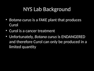 Power_point_NYS_Relationships_and_Biodiversity_Lab.pptx
