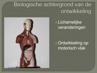 Biologische achtergrond van de ontwikkelingLichamelijke veranderingenOntwikkeling op motorisch vlak