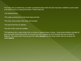 Powerpoint of integumentary system of vertebrates | PPTX