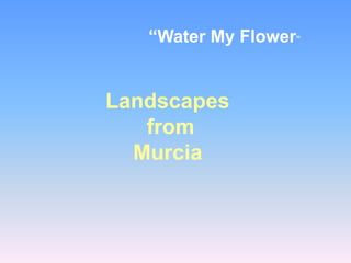 Landscapes
from
Murcia
“Water My Flower”
 