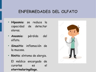 ENFERMEDADES DEL OLFATO
●
Hiposmia: se reduce la
capacidad de detectar
olores.
●
Anosmia: pérdida del
olfato.
●
Sinusitis: inflamación de
la mucosa.
●
Rinitis: síntoma de alergia.
El médico encargado de
curarlas es el
otorrinolaringólogo.