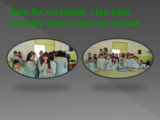 Power Point Olivera1