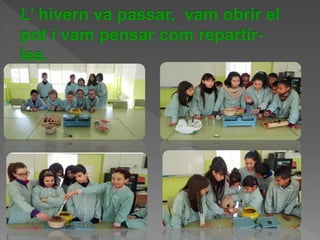 Power Point Olivera1