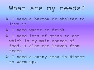  I need a burrow or shelter to
live in
 I need water to drink
 I need lots of grass to eat
which is my main source of
food. I also eat leaves from
trees.
 I need a sunny area in Winter
to warm up.
What are my needs?
 