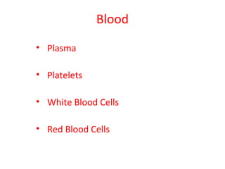 Blood
• Plasma

• Platelets

• White Blood Cells

• Red Blood Cells
 