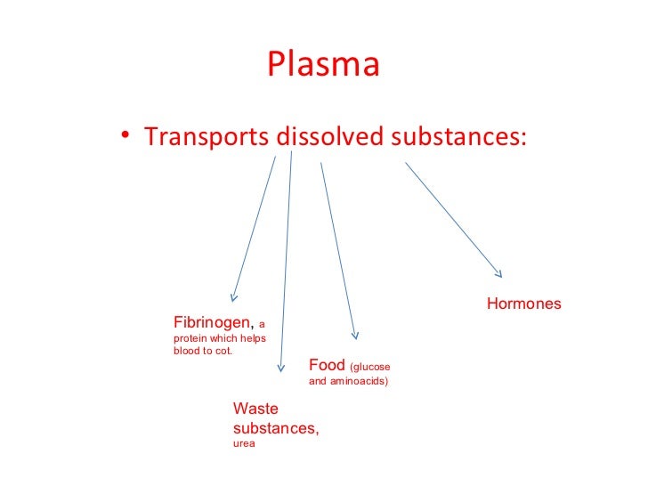 which substances are dissolved in human blood