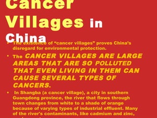 Cancer
Villages in
China• The existence of “cancer villages” proves China’s
disregard for environmental protection.
• The CANCER VILLAGES ARE LARGE
AREAS THAT ARE SO POLLUTED
THAT EVEN LIVING IN THEM CAN
CAUSE SEVERAL TYPES OF
CANCERS.
• In Shangba (a cancer village), a city in southern
Guangdong province, the river that flows through
town changes from white to a shade of orange
because of varying types of industrial effluent. Many
of the river's contaminants, like cadmium and zinc,
 