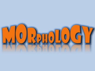 Powerpoint On Lecture 3 Morphology Ppt Powerpoint On Lecture 3 Morphology Ppt