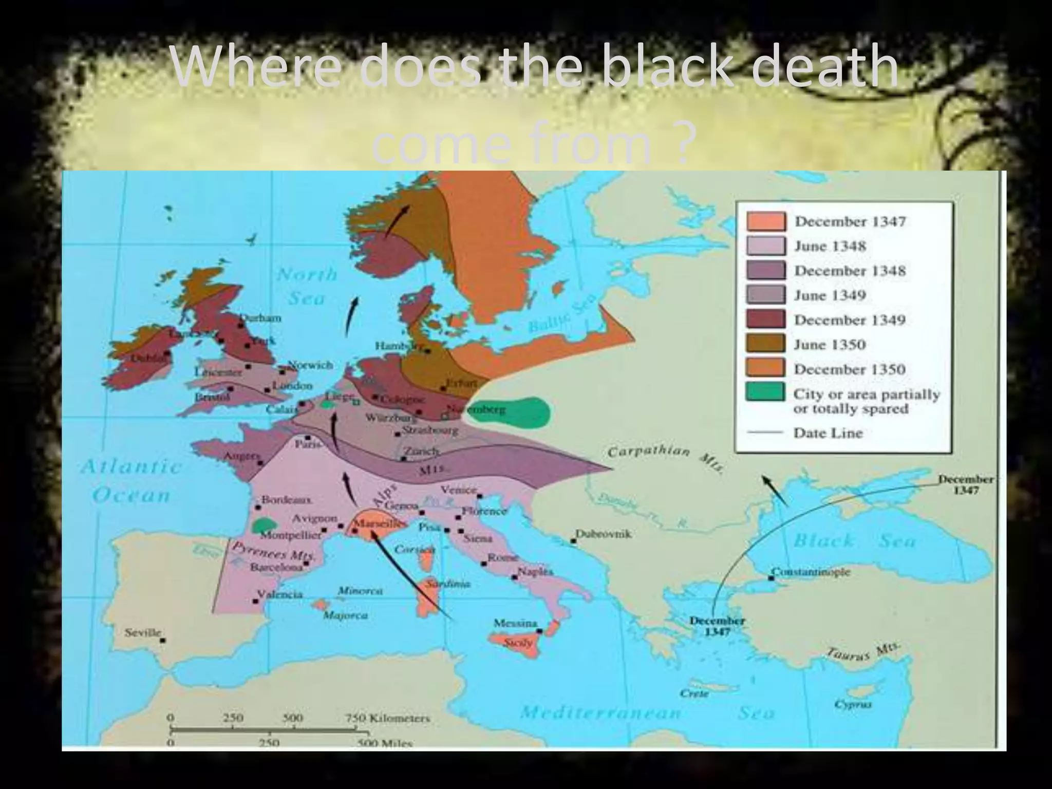 Where does the black death
come from ?
 