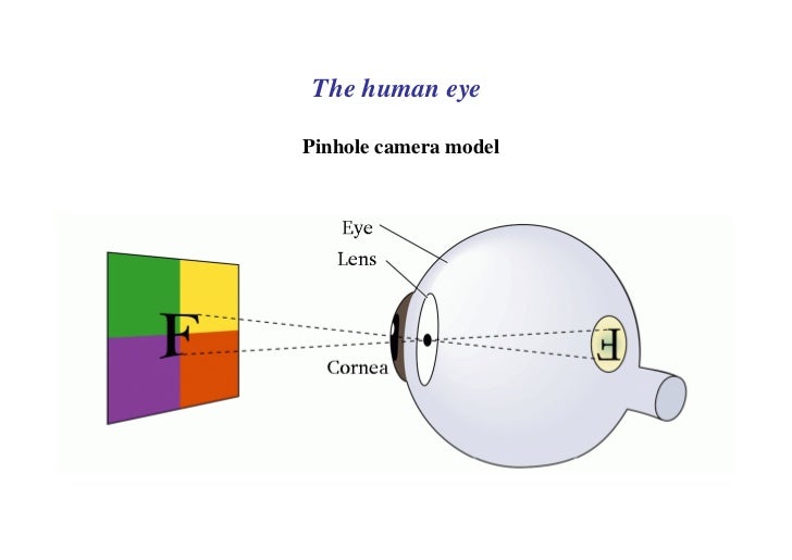 Powerpoint on the eye