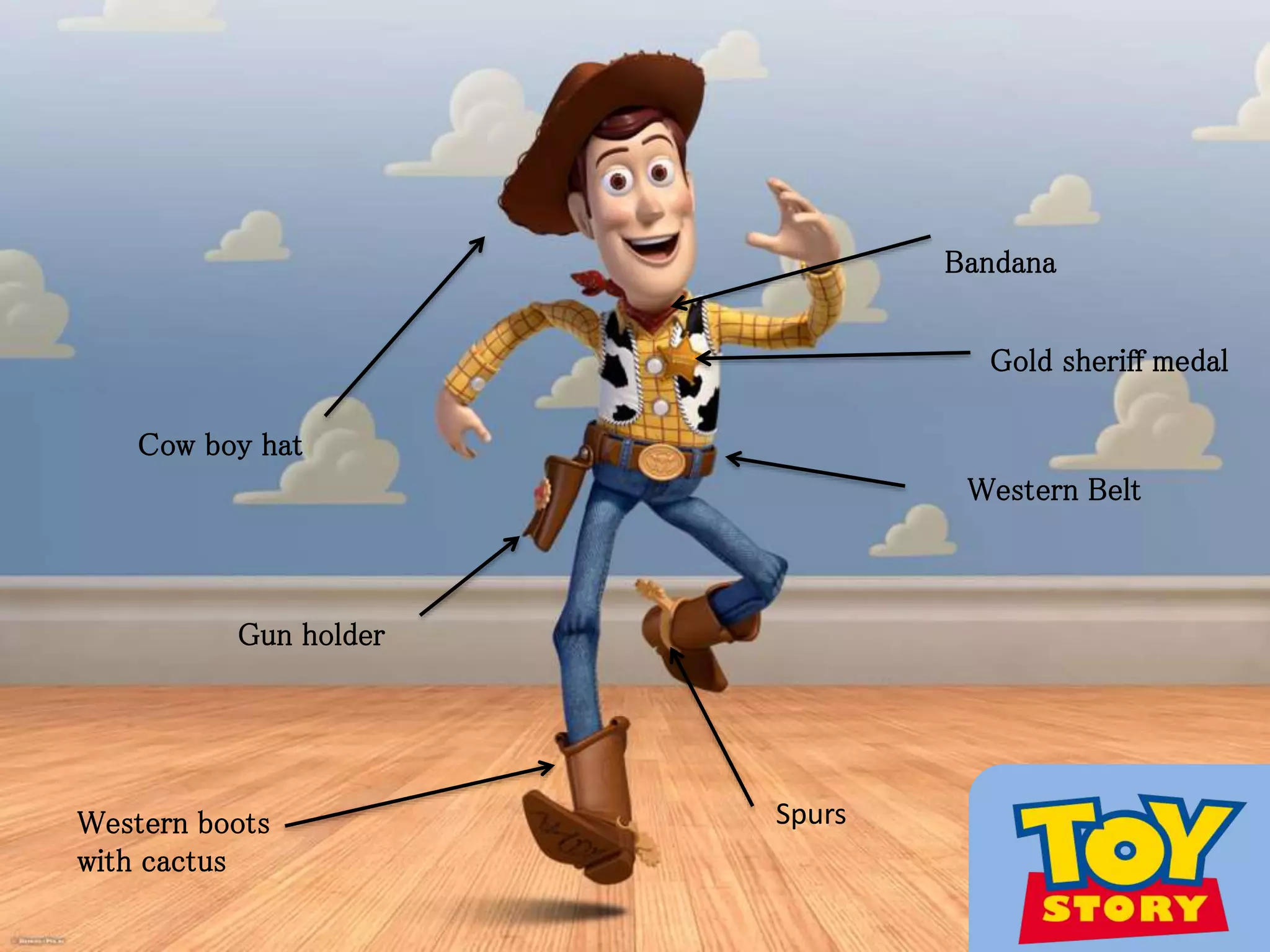 Cow boy hat
Western boots
with cactus
Gun holder
Gold sheriff medal
Western Belt
Bandana
Spurs
 