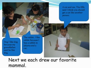 A cat and me. TitaEffa said I think you should get a cat like another person.  The rabbit. I like rabbit because I buy a rabbit in Jakarta and a cat.Dog I like dog because my grandfather said he like dog.Next we each drew our favorite mammal. 
