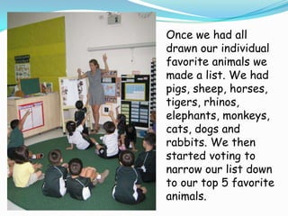 Once we had all drawn our individual favorite animals we made a list. We had pigs, sheep, horses, tigers, rhinos, elephants, monkeys, cats, dogs and rabbits. We then started voting to narrow our list down to our top 5 favorite animals.