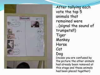After tallying each vote the top 5 animals that remained were …(signal the sound of trumpets!!) TigerMonkeyHorseCatDog(incase you are confused by the picture the other animals had already been removed at this stage and these animals had been placed together) 