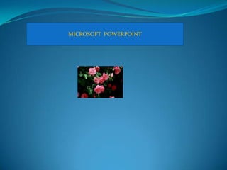 MICROSOFT POWERPOINT
 