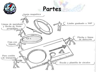 Partes