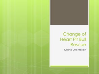 Change of Heart Pit Bull Rescue Online Orientation 