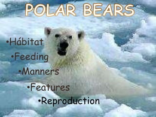 POLAR BEARS ,[object Object]
