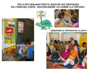 POC A POC HEM ANAT FENT EL RACÓ DE LES TORTUGUES.
ÉS L’HORA DEL CONTE. AVUI EXPLIQUEM “LA LLEBRE I LA TORTUGA”.

OBSERVEM LA TORTUGA DE LA LAIA P.

 