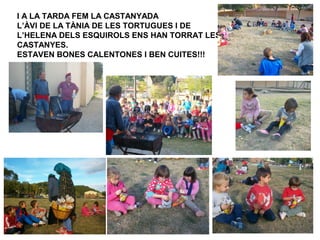 I A LA TARDA FEM LA CASTANYADA
L’ÀVI DE LA TÀNIA DE LES TORTUGUES I DE
L’HELENA DELS ESQUIROLS ENS HAN TORRAT LES
CASTANYES.
ESTAVEN BONES CALENTONES I BEN CUITES!!!

 