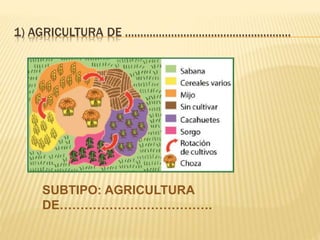 1) AGRICULTURA DE ………………………………………………
SUBTIPO: AGRICULTURA
DE……………………………….
 