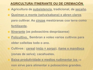 AGRICULTURA ITINERANTE OU DE CREMACIÓN.
Agricultura de subsistencia, tradicional, de secaño.
Queiman o monte (selva/sabana) e abren claros
para cultivar. As cinzas mestúranas coa terra como
fertilizante.
Itinerante (as poboacións desprázanse)
Policultivo. Sembran a voleo varios cultivos para
obter colleitas todo o ano.
Cultivos : cereal (mijo + sorgo), ñame e mandioca
(zonas de selva); cacahuetes.
Baixa produtividade e medios rudimentar ios 
non sirve para alimentar a poboacións grandes.
 