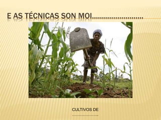 E AS TÉCNICAS SON MOI……………………..
CULTIVOS DE
………………..
 