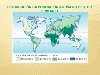 DISTRIBUCIÓN DA POBOACIÓN ACTIVA NO SECTOR
PRIMARIO
 