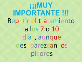 ¡¡¡MUY
IMPORTANTE !!!
Repetir el tratamiento
a los 7 o 10
días, aunque
desaparezcan los
picores