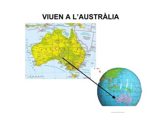 VIUEN A L’AUSTRÀLIA