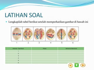 LATIHAN SOAL
 Lengkapilah tabel berikut setelah memperhatikan gambar di bawah ini

 