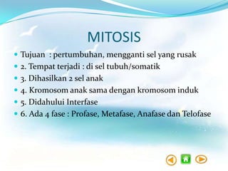 MITOSIS
 Tujuan : pertumbuhan, mengganti sel yang rusak
 2. Tempat terjadi : di sel tubuh/somatik
 3. Dihasilkan 2 sel anak
 4. Kromosom anak sama dengan kromosom induk

 5. Didahului Interfase
 6. Ada 4 fase : Profase, Metafase, Anafase dan Telofase

 