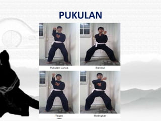 PUKULAN
 