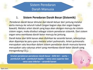 Sistem Peredaran
Darah Manusia
1. Sistem Peredaran Darah Besar (Sistemik)
Peredaran darah besar dimulai dari darah keluar dari jantung melalui
aorta menuju ke seluruh tubuh (organ bagian atas dan organ bagian
bawah). Melalui arteri darah yang kaya akan oksigen menuju ke sistem-
sistem organ, maka disebut sebagai sistem peredaran sistemik. Dari sistem
organ vena membawa darah kotor menuju ke jantung.
Darah kotor dari bilik kanan akan dialirkan ke serambi kanan, selanjutnya
akan dipompa ke paru-paru melalui arteri pulmonalis. Arteri pulmonalis
merupakan satu keunikan dalam sistem peredaran darah manusia karena
merupakan satu-satunya arteri yang membawa darah kotor (darah yang
mengandung CO2).
Urutan perjalanan peredaran darah besar : bilik kiri – aorta –
pembuluh nadi – pembuluh kapiler – vena cava superior dan
vena cava inferior – serambi kanan
 