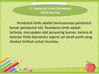 Pembuluh limfe adalah bermuaranya pembuluh
lemak (pembuluh kil). Peredaran limfe adalah
terbuka, merupakan alat penyaring kuman, karena di
kelenjar limfe diproduksi sejenis sel darah putih yang
disebut limfosit untuk imunitas.
3. Pembuluh Limfe (Pembuluh
Getah Bening)
 