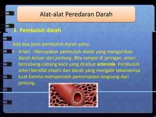 1. Pembuluh darah
Ada dua jenis pembuluh darah yaitu:
• Arteri : Merupakan pembuluh darah yang mengalirkan
darah keluar dari jantung. Bila sampai di jaringan, arteri
bercabang-cabang kecil yang disebut arteriole. Pembuluh
arteri bersifat elastis dan darah yang mengalir tekanannya
kuat karena memperoleh pemompaan langsung dari
jantung.
Alat-alat Peredaran Darah
 
