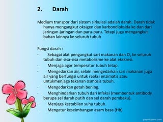 2. Darah
Medium transpor dari sistem sirkulasi adalah darah. Darah tidak
hanya mengangkut oksigen dan karbondioksida ke dan dari
jaringan-jaringan dan paru-paru. Tetapi juga mengangkut
bahan lainnya ke seluruh tubuh
Fungsi darah :
· Sebagai alat pengangkut sari makanan dan O2 ke seluruh
tubuh dan sisa-sisa metabolisme ke alat ekskresi.
· Menjaga agar temperatur tubuh tetap.
· Mengedarkan air, selain mengedarkan sari makanan juga
air yang berfungsi untuk reaksi enzimatis atau
untukmenjaga tekanan osmosis tubuh.
· Mengedarkan getah bening.
· Menghindarkan tubuh dari infeksi (membentuk antibody
berupa sel darah putih dan sel darah pembeku).
· Menjaga kestabilan suhu tubuh.
· Mengatur keseimbangan asam basa (Hb)
 